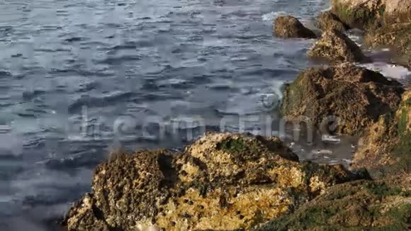 平静的海洋在岩石海岸视频的预览图