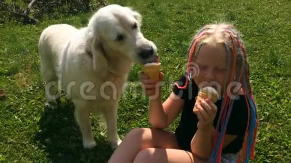 宠物的幸福生活有趣的视频美丽的金色猎犬和女孩在花园里吃冰淇淋手持拍摄视频的预览图