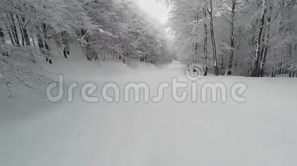 滑雪在雪林地区行动相机POV透视视频的预览图