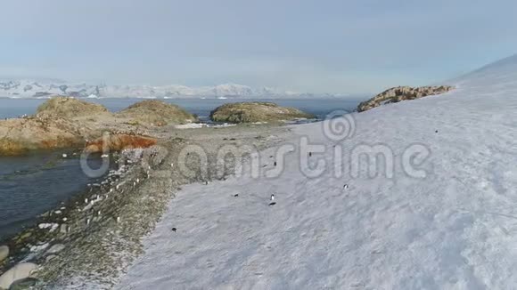 登图企鹅群站在雪岸空中视频的预览图