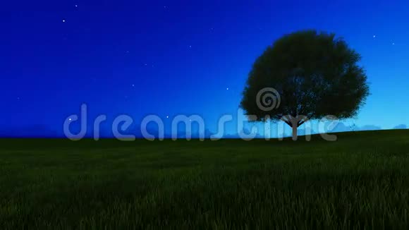 日落单树与风动画视频的预览图