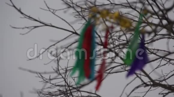 嘉年华后的彩布挂在树上视频的预览图
