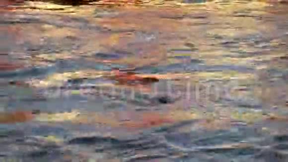 抽象性质美丽的金色阳光反射在蓝色的水面上视频的预览图
