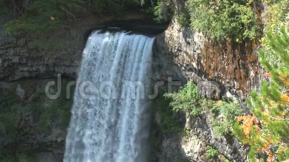 惠斯勒森林瀑布视频的预览图