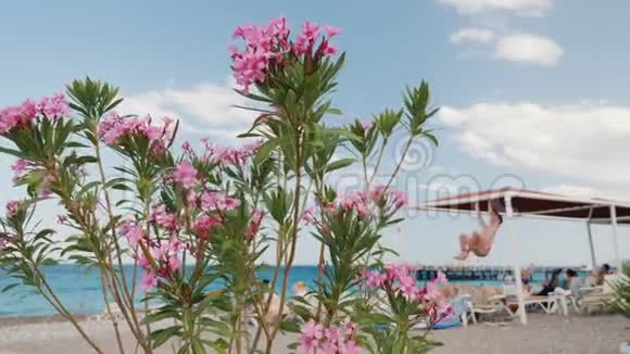 海边一片舒适的沙滩前景中有美丽的花朵在海边休息视频的预览图