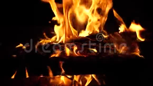 明亮的火在黑暗中燃烧木头在火中燃烧灰烬特写慢镜头拍摄视频的预览图