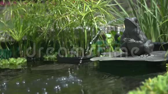 青蛙雕像把一股水流向池塘里慢动作高清1080便士视频的预览图