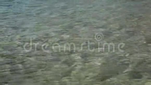 磁岛马蹄湾视频的预览图