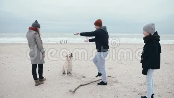 年轻的家庭正在海滩上扔一根聪明的狗棒视频的预览图