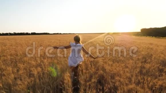 快乐的小女孩正在一片成熟的麦田里飞翔在夕阳的背景下慢悠悠地飞翔视频的预览图
