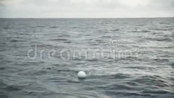 海洋中间有一个白色的球视频的预览图