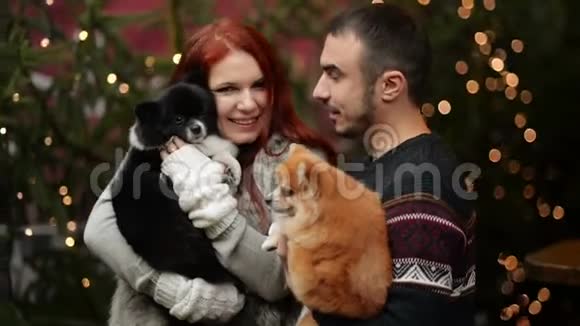 在圣诞节的时候有一对年轻的夫妇在外面玩他们抱着可爱的狗新年快乐理念视频的预览图