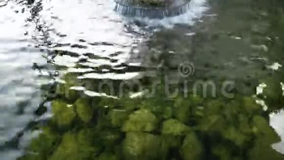 泉水背景的天然来源视频的预览图