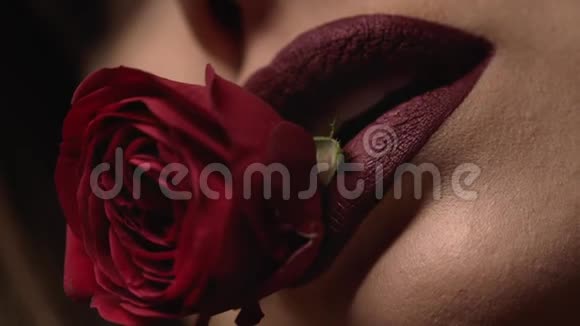 美丽漂亮的女士脸上的皮肤护理构成有机化妆品天然颜色唇膏花玫瑰在她的牙齿时尚视频的预览图