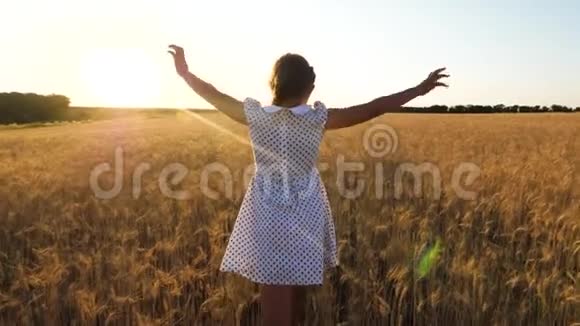 快乐的小女孩正在一片成熟的麦子里飞翔在夕阳的背景下慢悠悠地飞翔视频的预览图
