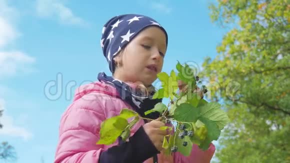 秋天在森林里吃黑莓的小女孩视频的预览图