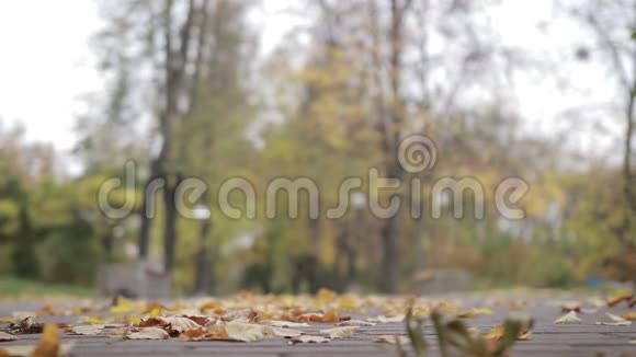 秋天公园浪漫约会的情侣视频的预览图