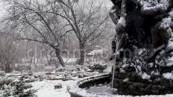 雪天喷泉春日或秋日有自然光视频的预览图