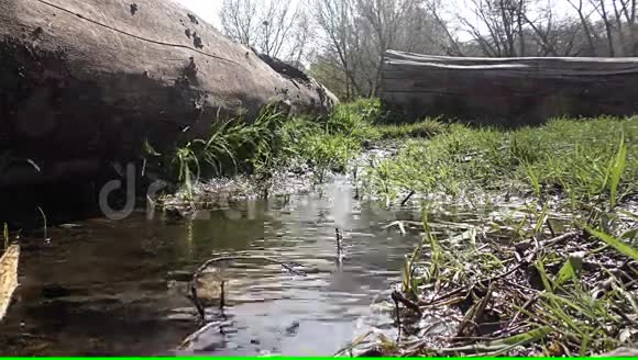 春天的溪流视频的预览图