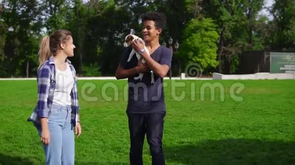 两个多种族的朋友在公园的草地上散步一边享受着这一天一边抱着可爱的小杰克拉塞尔视频的预览图