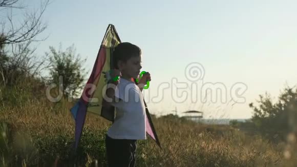 快乐小男孩在夏日风景的背景下玩莫特利风筝视频的预览图