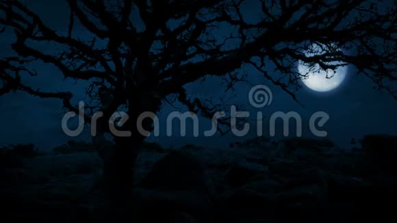 山顶上扭曲的老树月亮在背后视频的预览图