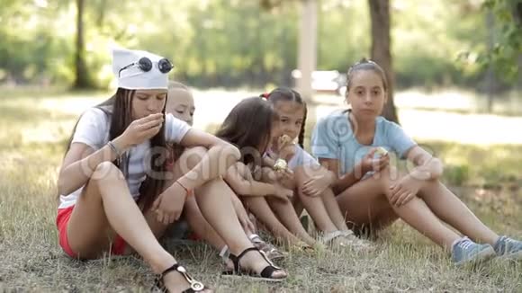 孩子们在大自然中坐在草坪上社交和吃苹果视频的预览图