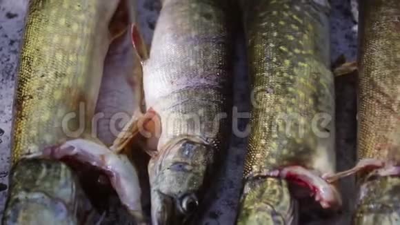 多瑙河三角洲盐床上的传统烤鱼视频的预览图