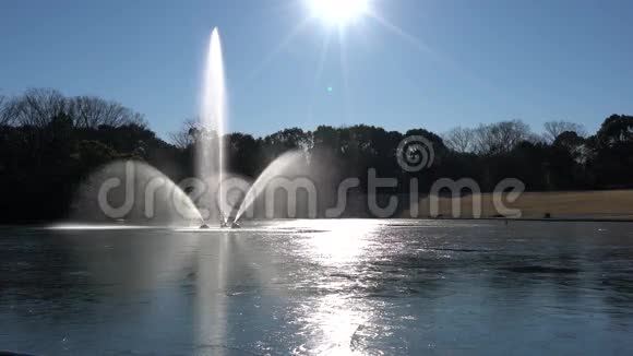 冰冻池塘里的喷泉视频的预览图