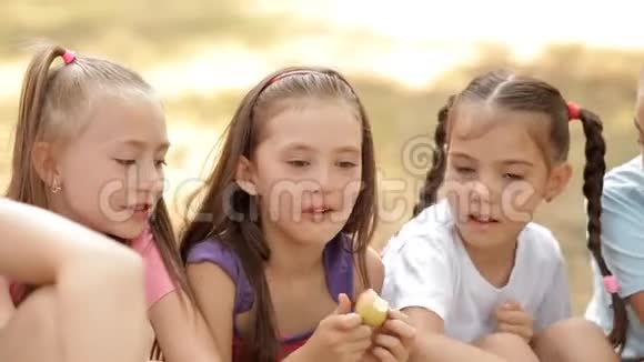 孩子们在大自然中坐在草坪上社交和吃苹果视频的预览图