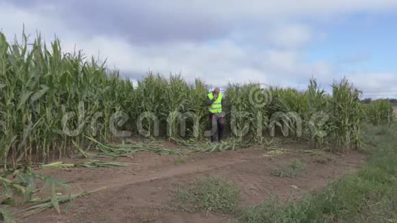 压力很大的农民在受损的玉米地上用智能手机说话视频的预览图