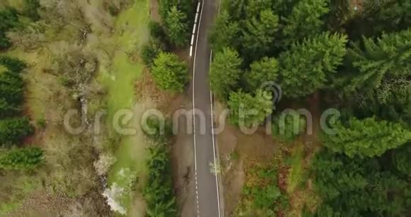 空中通过野生森林传播的道路上的运动视野4K视频的预览图