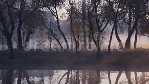 一个女人在秋天的雾天日出期间在公园里奔跑的剪影视频的预览图