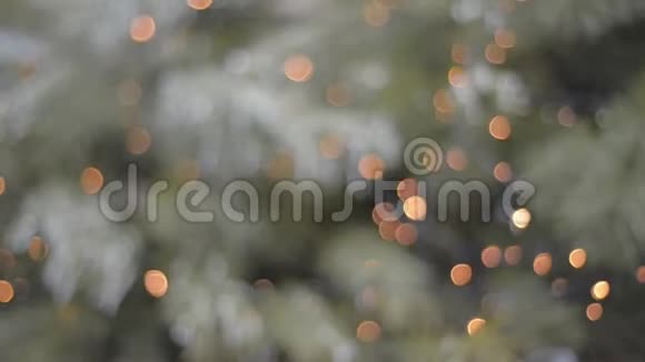 在冬季城市手持射击装饰的杉树在白天接近视频的预览图