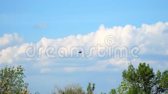 乌鸦在多云的天空中飞过树木视频的预览图