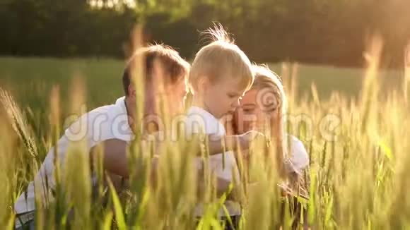 小男孩微笑着坐在田里的麦子里夏日自然漫步户外童年幸福视频的预览图