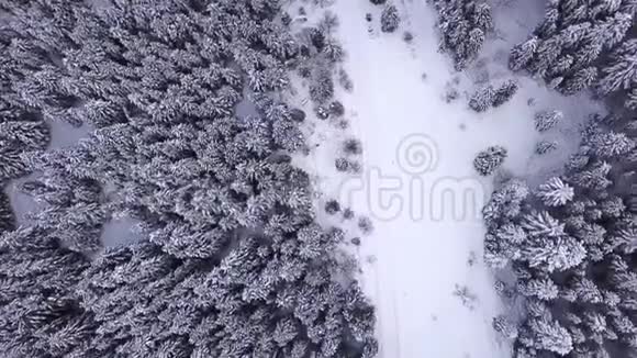 针叶林道路上布满了积雪矗立着汽车从上面看空中景观视频的预览图