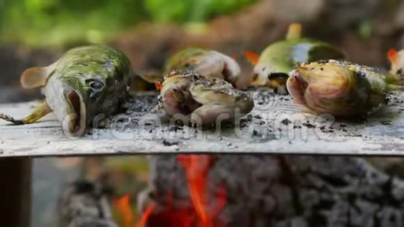 多瑙河三角洲盐床上的传统烤鱼视频的预览图