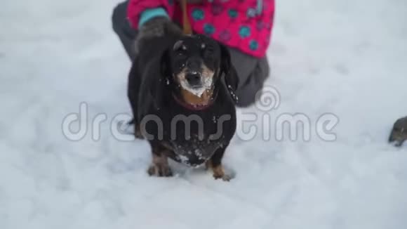 冬天和狗一起散步的小女孩视频的预览图