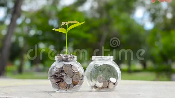 手提钱瓶钞票树钞票图片与植物生长在上面为商业绿色自然背景钱救世主视频的预览图