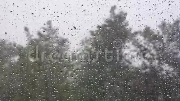 暴风雨的一天玻璃上有水滴后面有模糊的树视频的预览图
