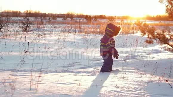 一个冬天的孩子在日落的背景下穿过雪堆走到一棵松树上视频的预览图