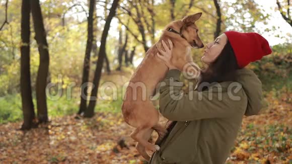 秋天公园里一个漂亮的时髦女孩抱着狗视频的预览图