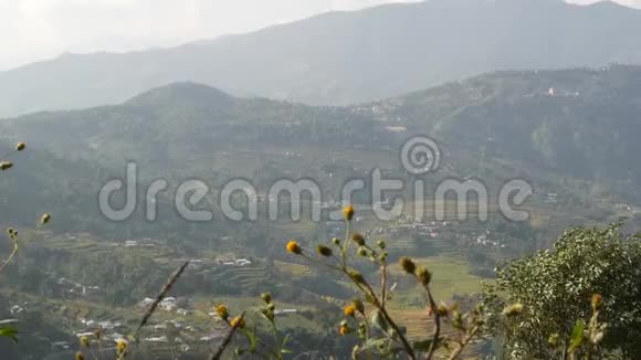 乡村水稻梯田景观喜马拉雅山绿色农村地区水稻梯田全景视频的预览图