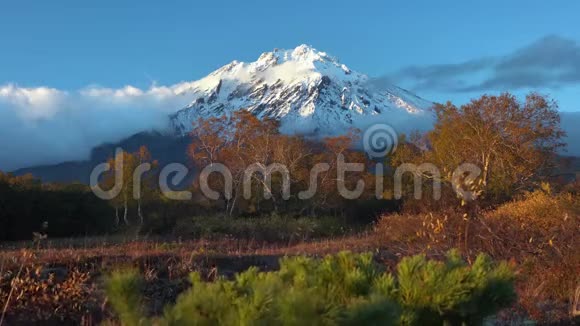 壮观的火山景观岩锥火山黄橙色森林景观视频的预览图