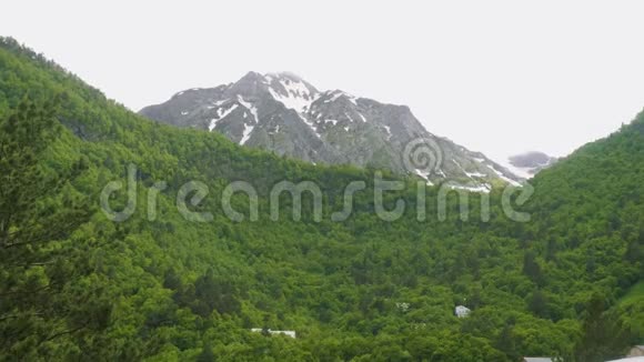 奥塞梯山脉的绿色植物和冰雪覆盖的山峰视频的预览图