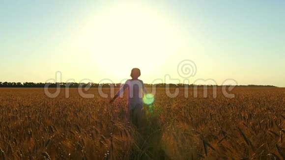 一个快乐的女人在日落的背景下缓慢地穿过麦田视频的预览图