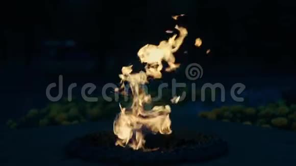 永恒之火的火焰特写视频的预览图