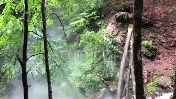 在大瀑布顶上掉进山河的树木视频的预览图