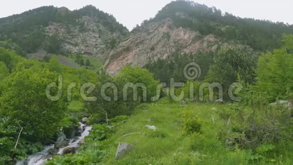 山溪流经奥塞梯山脉的树木和多汁的绿色植物视频的预览图